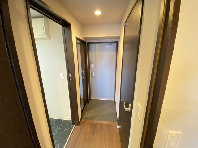 玄関　同型タイプの写真です。色が異なる場合があります。現況優先。