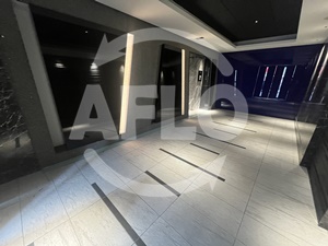 エントランス　S-RESIDENCE城東SEVER　エントランス