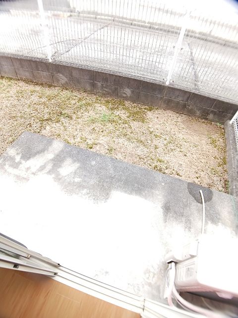 メゾンネイティブピーチのその他写真