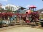 幼稚園・保育園　慈紘保育園（幼稚園・保育園）まで475m