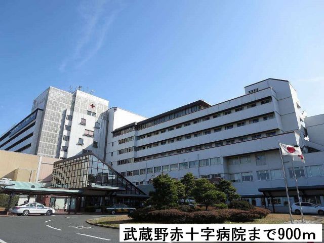 病院　武蔵野赤十字病院（病院）まで900m