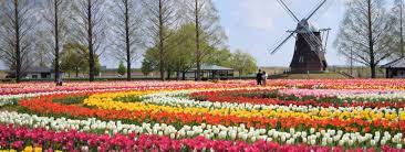 公園　あけぼの山公園（公園）まで445m