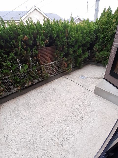 庭