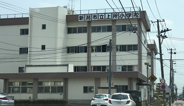 小学校　新潟市立上所小学校（小学校）まで550m
