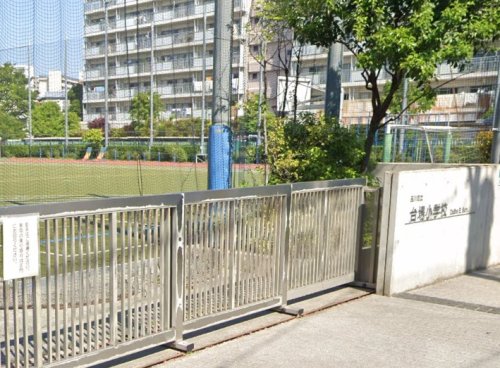 小学校　品川区立台場小学校（小学校）まで950m