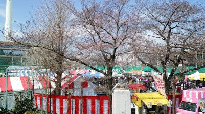 公園　田道広場公園（公園）まで392m