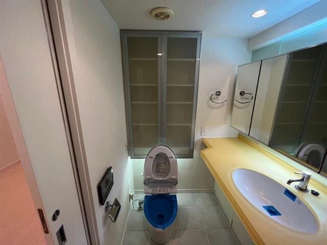 クオス銀座エストプルミエのトイレ写真