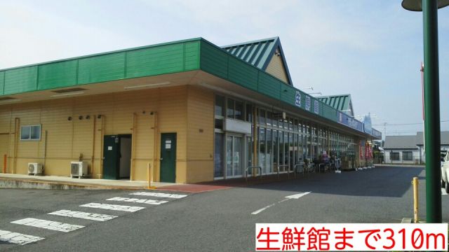 その他　生鮮館（その他）まで310m