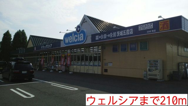 その他　ウェルシア（その他）まで210m