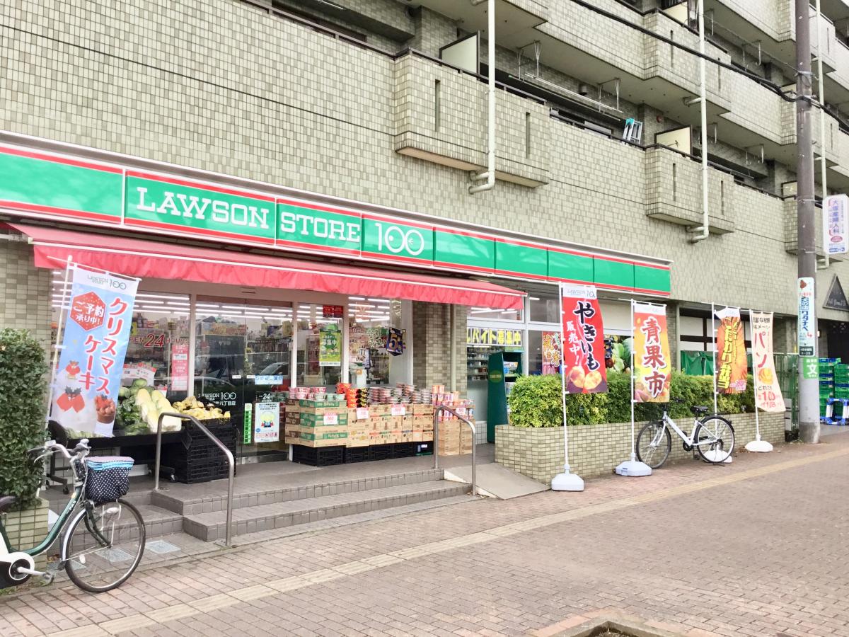 コンビニ　ローソンストア100大泉学園町八丁目店（コンビニ）まで251m