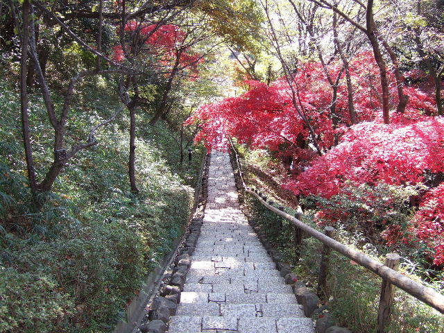 【田園スカイマンションの公園】