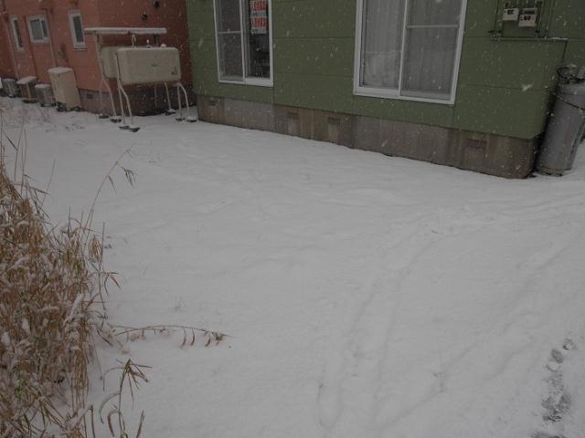 駐車場　エントランス