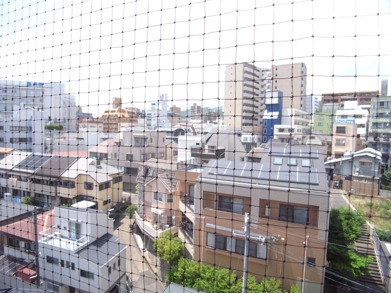 【神戸市中央区北長狭通のマンションの眺望】