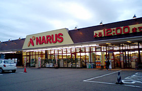 スーパー　ナルス鴨島店（スーパー）まで681m