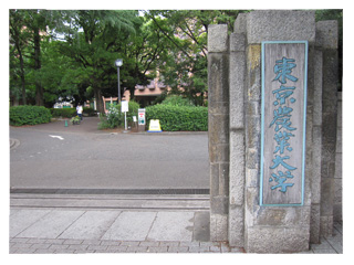 大学・短大　私立東京農業大学（大学・短大）まで613m