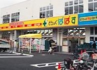 ドラックストア　どらっぐぱぱす奥戸店（ドラッグストア）まで280m