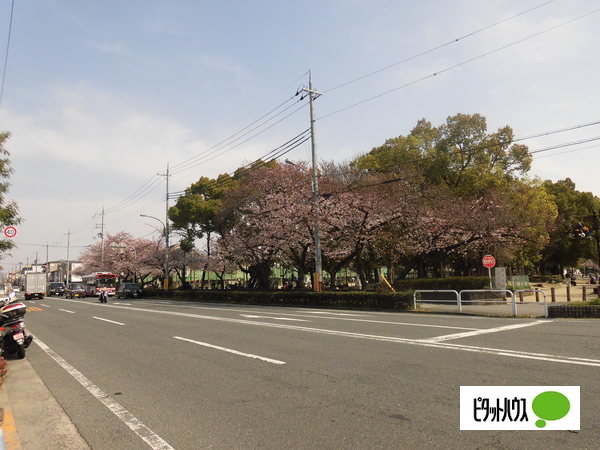 【ヴィラナリー太子橋今市の公園】