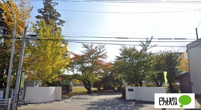 小学校　八戸市立長者小学校（小学校）まで800m