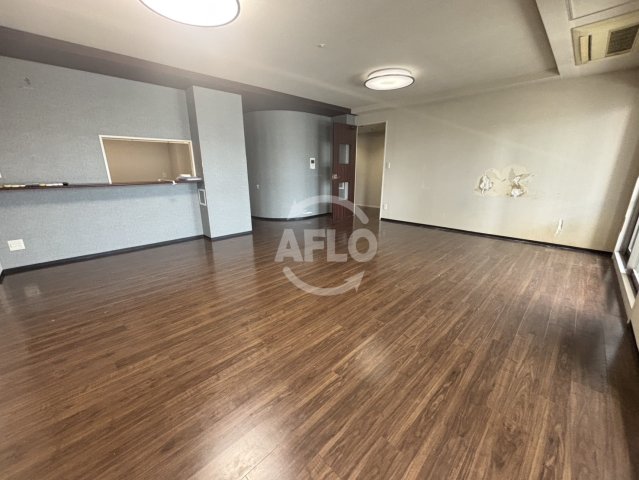 その他部屋・スペース　レジディア心斎橋ウエスト　内装