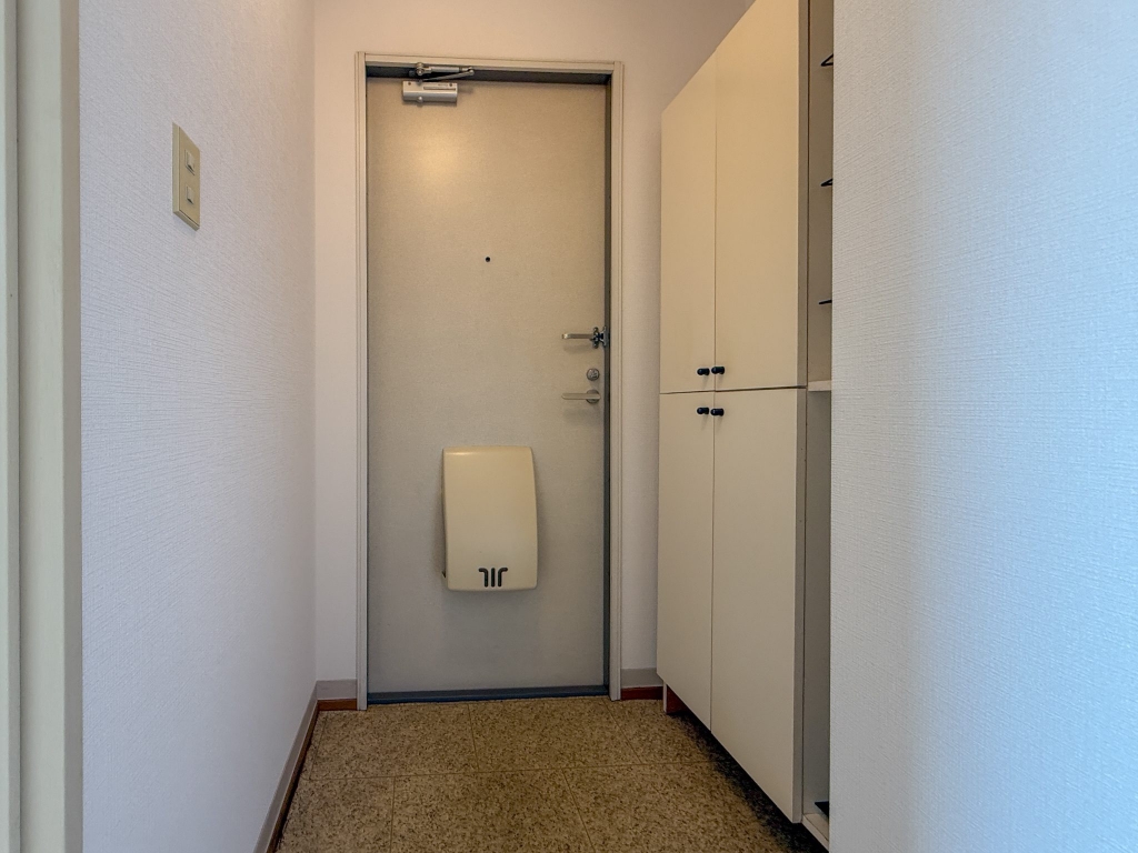 ファジーアドザックス Aの玄関写真