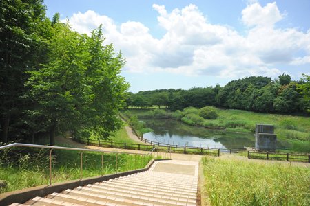 公園　美しが丘近隣公園（公園）まで832m