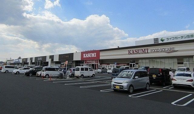 ショッピングセンター　ライフガーデン茂原店（ショッピングセンター）まで2600m