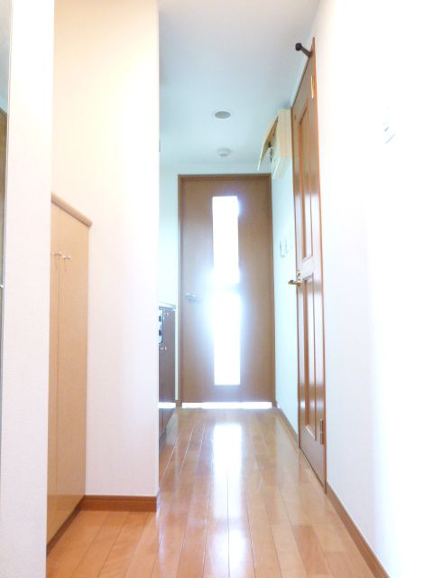 玄関　※別部屋の参考写真です。
