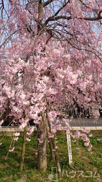 公園　淡路公園（公園）まで170m