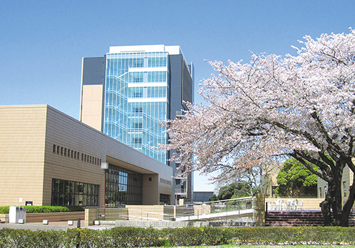 大学・短大　淑徳大学 千葉キャンパス（大学・短大）まで2503m