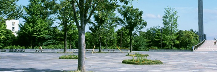 公園　木場公園（公園）まで327m