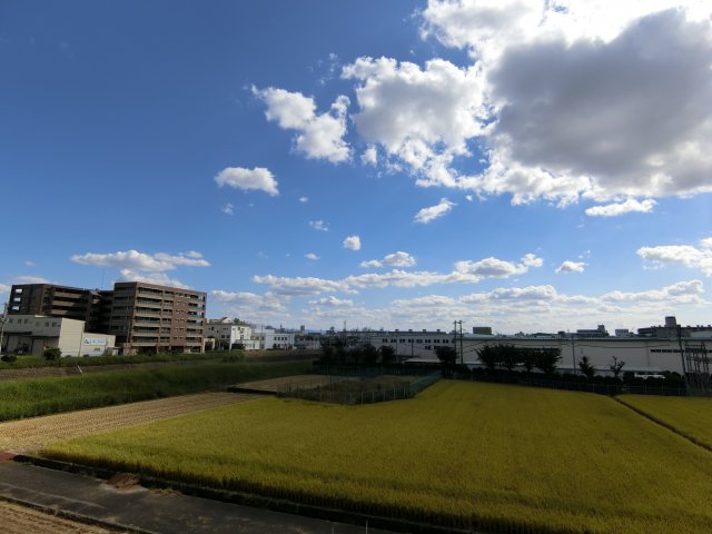 眺望