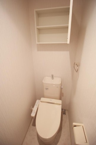 東京メトロ丸ノ内線 御茶ノ水駅 徒歩9分 9階建 築12年のトイレ写真
