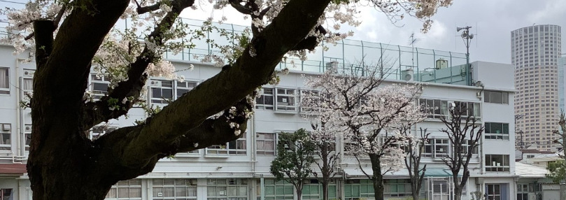 小学校　目黒区立烏森小学校（小学校）まで507m