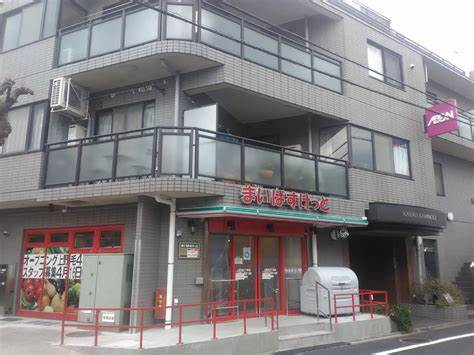 スーパー　まいばすけっと 上野毛4丁目店（スーパー）まで737m