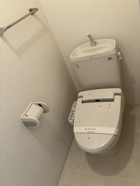 エバーグリーンのトイレ写真