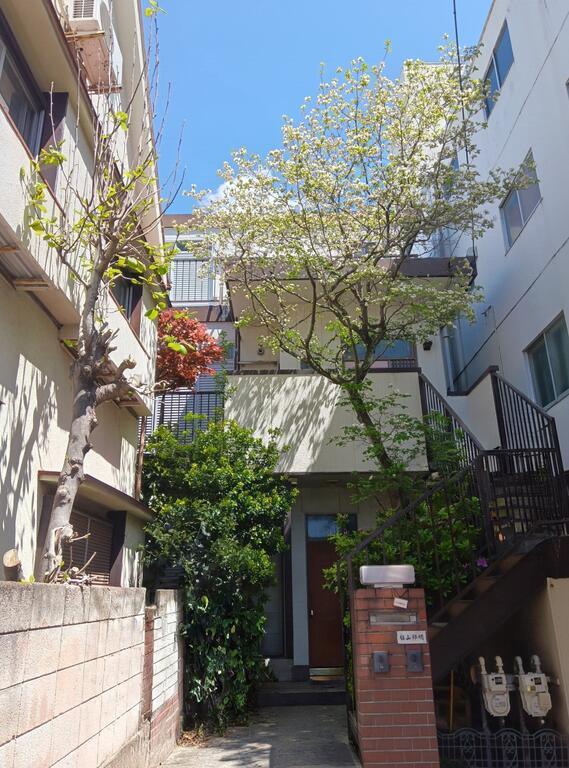 渋谷区西原二丁目戸建