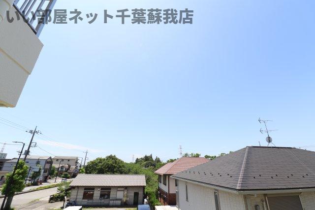 ハイムカメリアのその他写真