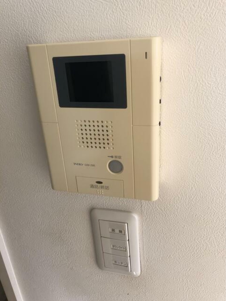 エオラス白金のその他写真