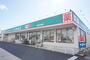 ドラックストア　ドラッグセイムス越谷花田店（ドラッグストア）まで390m
