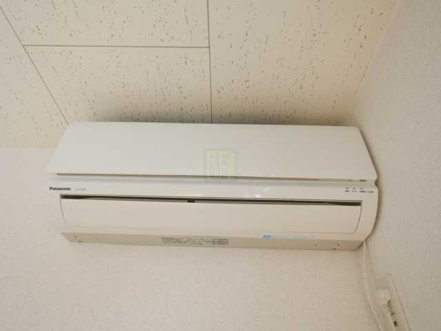 アレグリアスのその他写真
