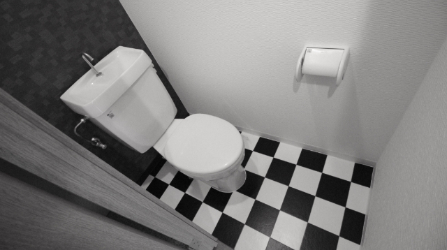 グリーンゲイブルスIIのトイレ写真