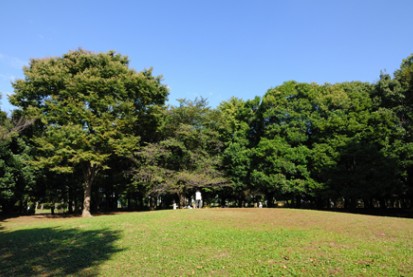 【北区滝野川のマンションの公園】