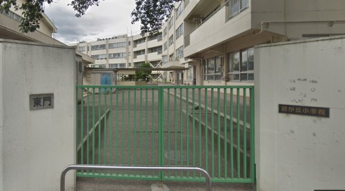 小学校　日野市立旭が丘小学校（小学校）まで899m