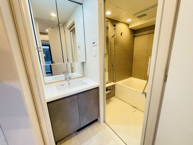 洗面設備　101号室（A´type）のお写真です（カラータイプが異なる