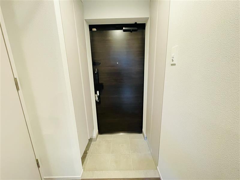 玄関　101号室（A´type）のお写真です（カラータイプが異なる