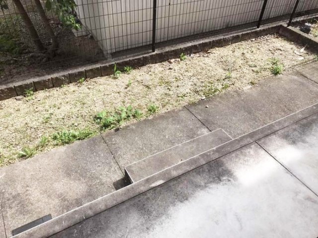庭
