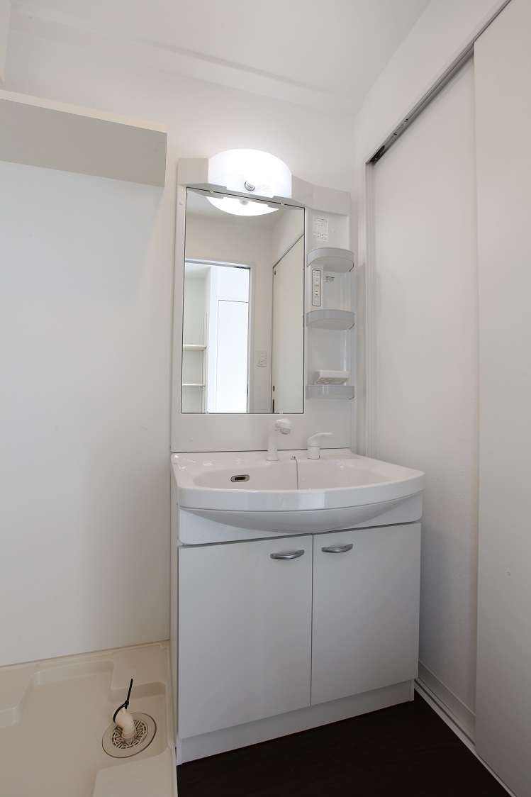 洗面設備　大きな洗面ボールを採用シャワー付きです