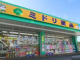 ドラックストア　ミドリ薬品大竜店（ドラッグストア）まで883m