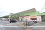 スーパー　ディオ岡山北店（スーパー）まで482m