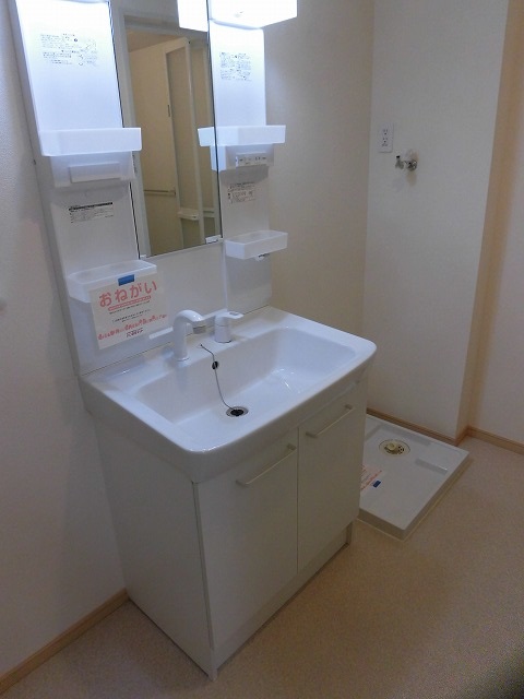 洗面設備　シャワー付き洗面台と奥が洗濯機置き場です。